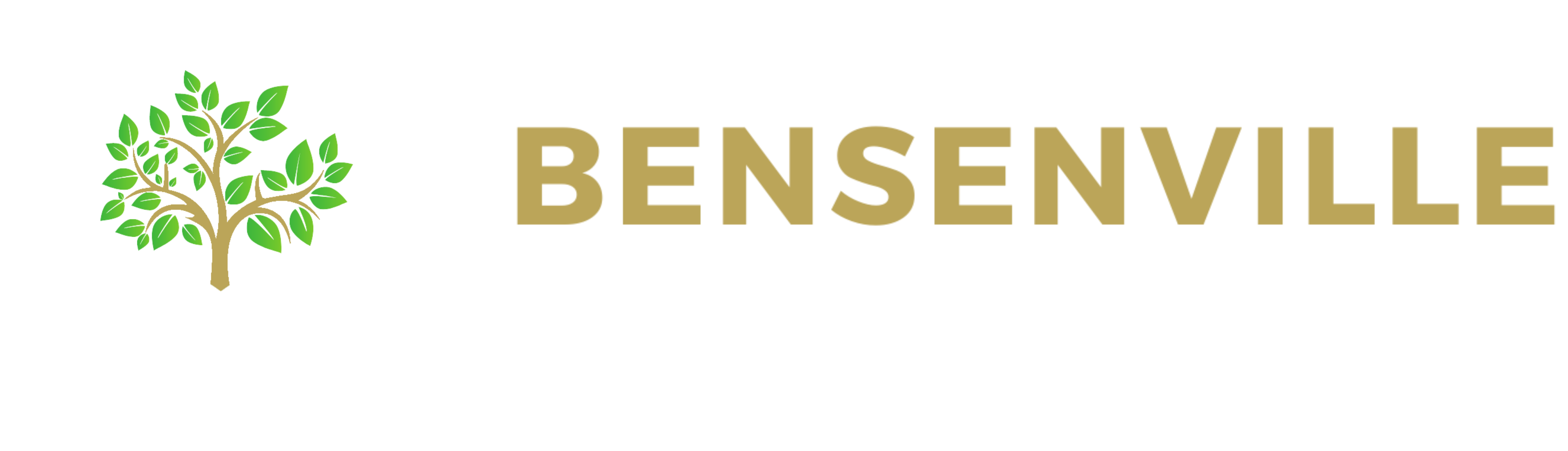 Bensenville SD 2 logo